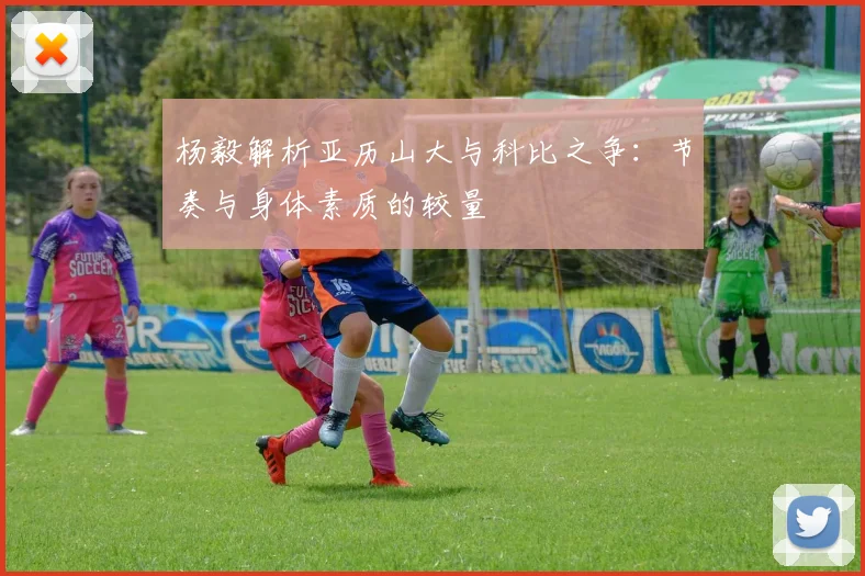 杨毅解析亚历山大与科比之争：节奏与身体素质的较量